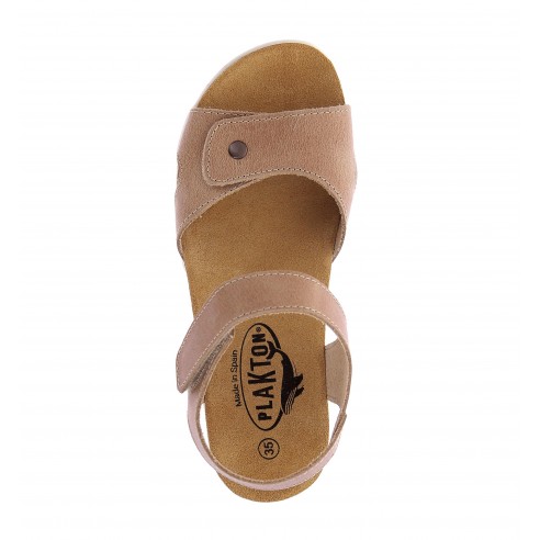 JAPAN LINE TOKYO DAKOTA